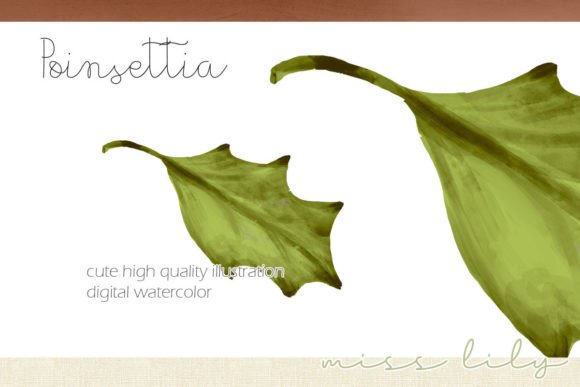 Christmas Holly Leaf Clipart: Premium Illustrations