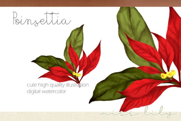 Christmas Poinsettia Bouquet: A Designer's Review