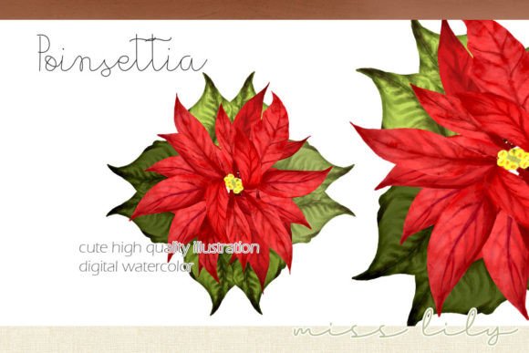 Christmas Poinsettia Pin: Festive Illustrations