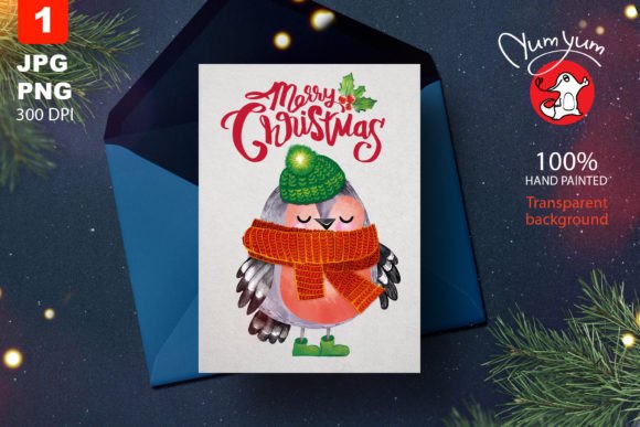 Cute Bullfinch Christmas Illustrations Review