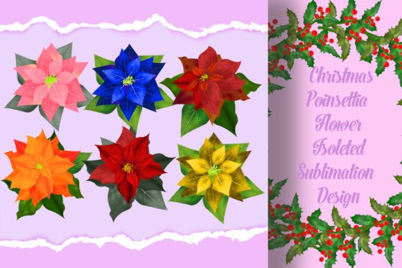 Review: Christmas Poinsettia Flower Sublimation for Holiday Embroidery
